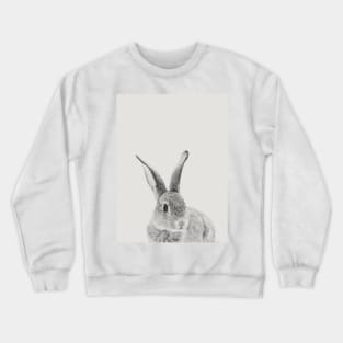 Rabbit 30 Crewneck Sweatshirt